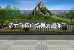 活力飞扬广场舞太想你了