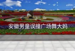 安徽男童误撞广场舞大妈