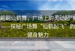 翩翩仙鹤舞，广场上的灵动起飞——探秘广场舞“仙鹤起飞”的健身魅力