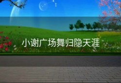 小谢广场舞归隐天涯