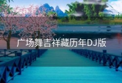 广场舞吉祥藏历年DJ版