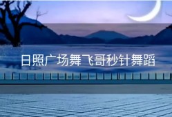 日照广场舞飞哥秒针舞蹈
