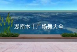 湖南本土广场舞大全