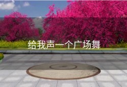 给我声一个广场舞