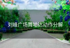 刘峰广场舞哈达动作分解