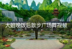大姐晚饭后散步广场舞视频