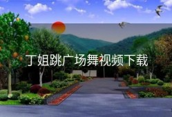 丁姐跳广场舞视频下载