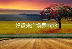 好运来广场舞mp3