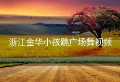 浙江金华小孩跳广场舞视频
