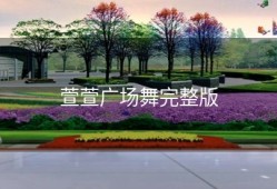 萱萱广场舞完整版
