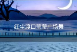 红尘渡口莹莹广场舞