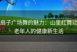 扇子广场舞的魅力：山里红舞动老年人的健康新生活