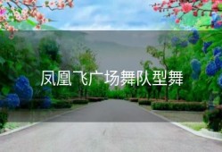 凤凰飞广场舞队型舞