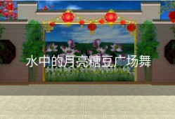 水中的月亮糖豆广场舞
