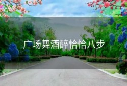 广场舞酒醉恰恰八步
