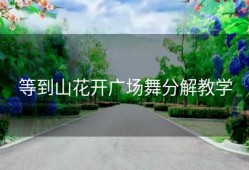 等到山花开广场舞分解教学