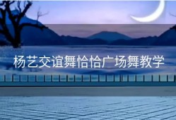 杨艺交谊舞恰恰广场舞教学