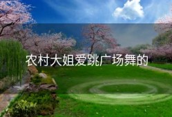 农村大姐爱跳广场舞的