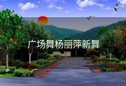 广场舞杨丽萍新舞