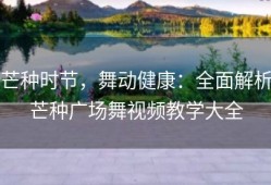 芒种时节，舞动健康：全面解析芒种广场舞视频教学大全