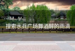 搜索水兵广场舞酒醉的雨滴