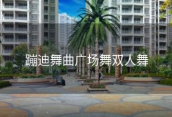 蹦迪舞曲广场舞双人舞