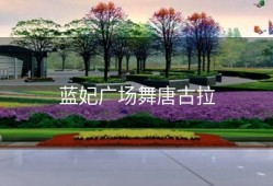 蓝妃广场舞唐古拉