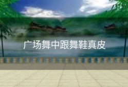 广场舞中跟舞鞋真皮