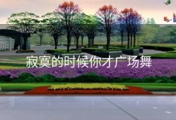 寂寞的时候你才广场舞