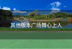 其他版本广场舞心上人