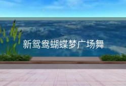 新鸳鸯蝴蝶梦广场舞
