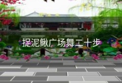 捉泥鳅广场舞二十步