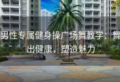 男性专属健身操广场舞教学：舞出健康，塑造魅力
