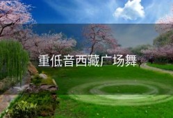 重低音西藏广场舞