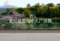 黑姑娘雪梅个人广场舞