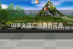 10岁女孩广场舞野花香