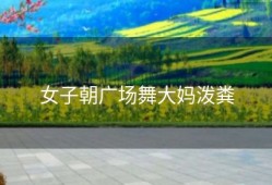 女子朝广场舞大妈泼粪