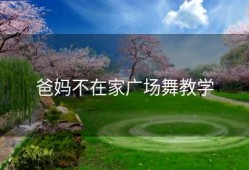 爸妈不在家广场舞教学