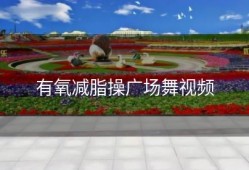 有氧减脂操广场舞视频