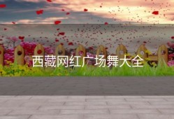 西藏网红广场舞大全