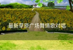 最新草原广场舞情歌对唱