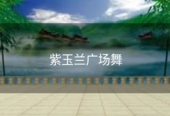 紫玉兰广场舞