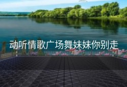 动听情歌广场舞妹妹你别走