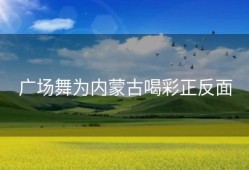 广场舞为内蒙古喝彩正反面