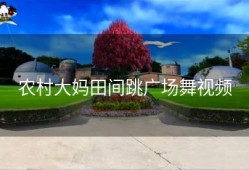 农村大妈田间跳广场舞视频