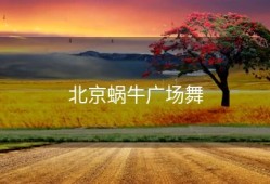 北京蜗牛广场舞
