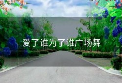 爱了谁为了谁广场舞