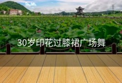 30岁印花过膝裙广场舞