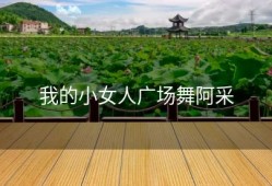 我的小女人广场舞阿采