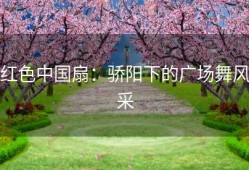 红色中国扇：骄阳下的广场舞风采